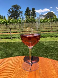 A glass of Bendooley Estate wine by the grape vines